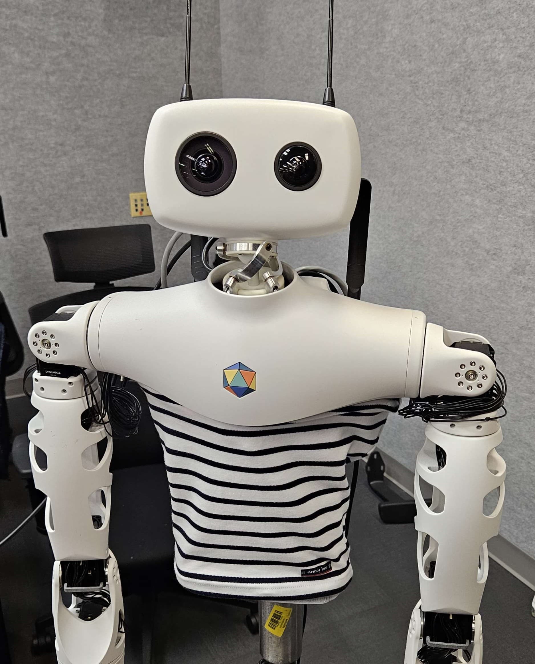 Reachy the robot